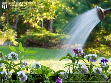 CMS_15005 - Watering Can