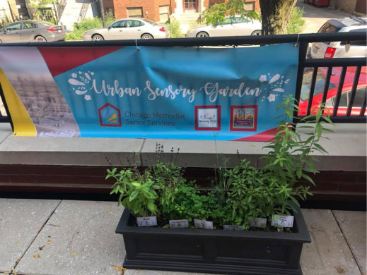 Urban Sensory Garden